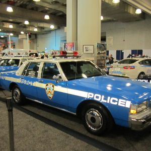 10431141 1491272761116884 o